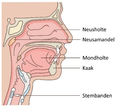 Gezondheidsplein