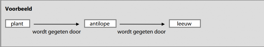 Voorbeeld voedselketen