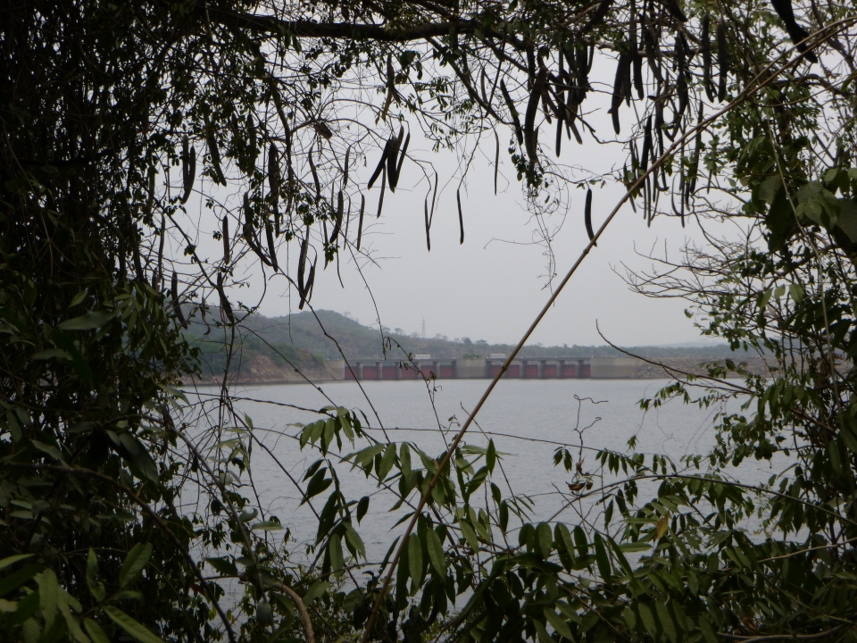 Al dat regenwater gaat vaak naar rivieren toe