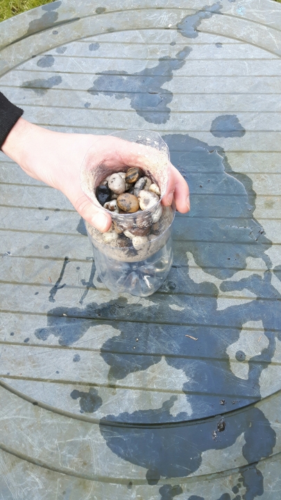 Stap 1: Zet het filter op de kop in de onderkant van de fles