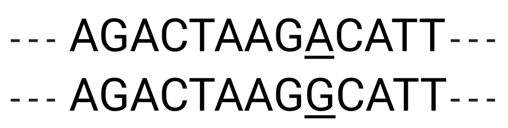 Figure 15.2 Representation of DNA sequence polymorphism