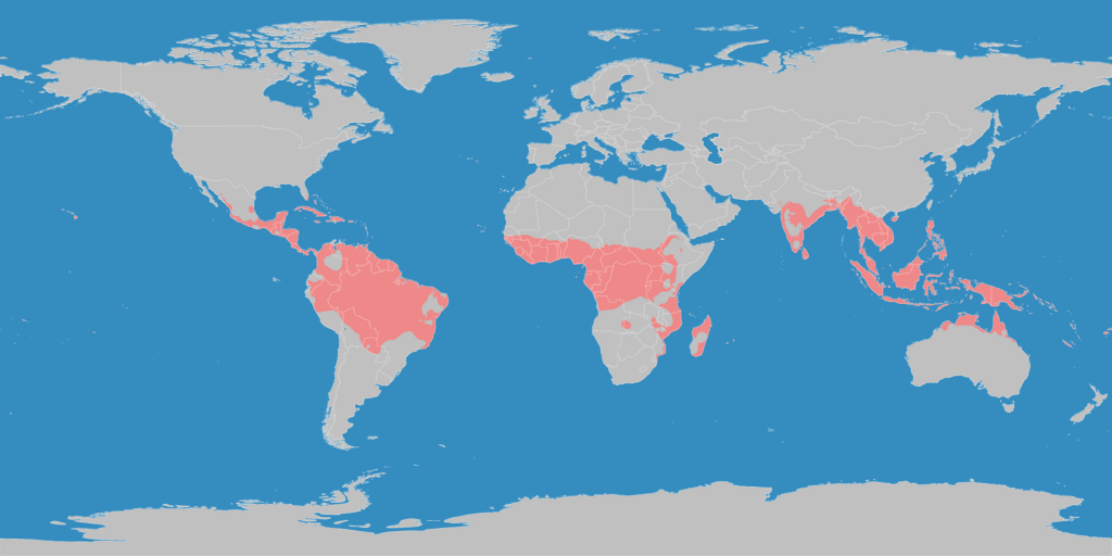 Tropisch klimaat. Afbeelding door: LordToran