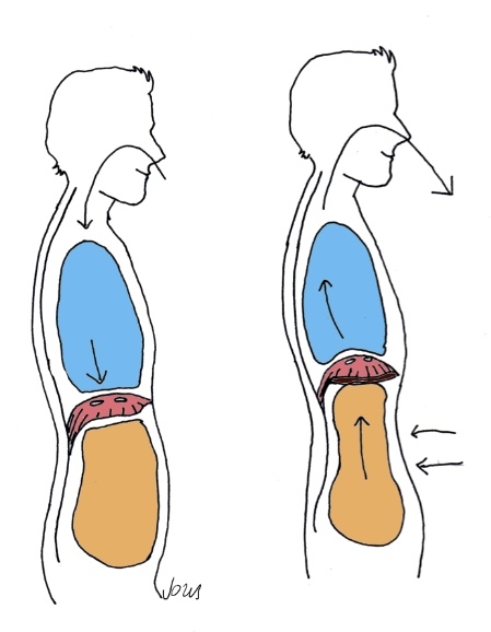Bron: samsara.nl - De Ademhaling