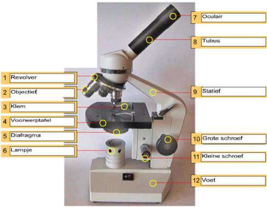 Onderdelen van de microscoop