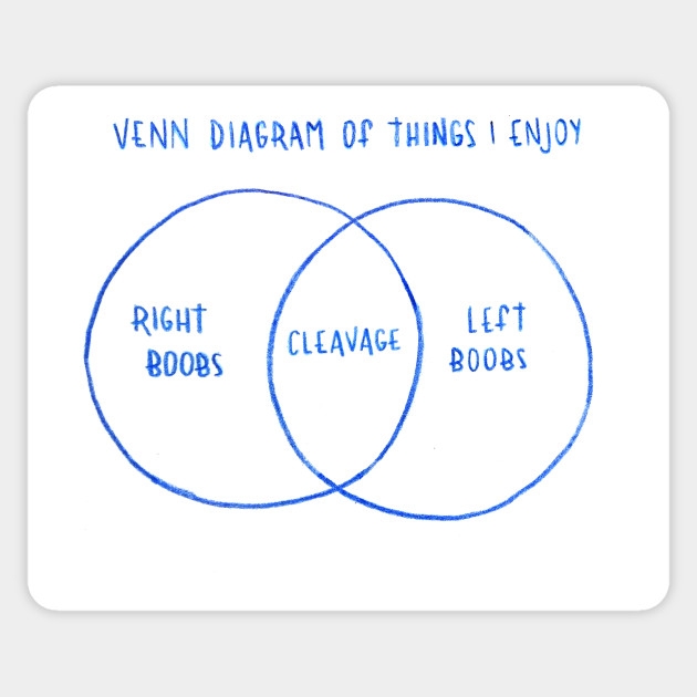 Voorbeeld 1 van een venndiagram