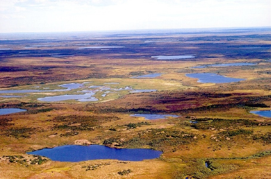 Toendra in Siberië, Rusland