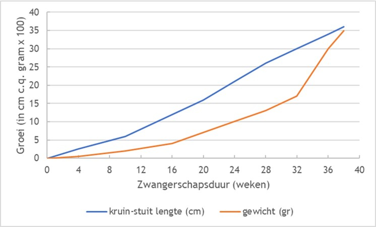 Figuur 7.2 De zwangerschapsduur is weergegeven in weken na conceptie. Lengte- en gewichtstoename tijdens foetale periode. De toename van de lichaamslengte verloopt in tegenstelling tot de gewichtstoename lineair (ontleend aan Visser GHA, Eilers PHC, Elferink-Stinkers PM, Merkus HMWM, Wit JM. New Dutch reference curves for birth weight by gestational age. Early Human Development 2009;85:737-744 en Heineman MJ, Bleker OP, Evers JLH, Heintz APM (red.). Obstetrie en Gynaecologie. De voortplanting van de mens. Vijfde druk. Maarssen, Elsevier, 2007).