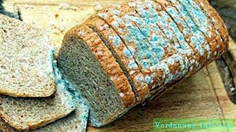 Is deze schimmel eetbaar?