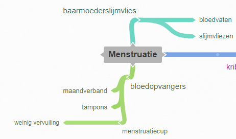 Je maakt een conceptmap