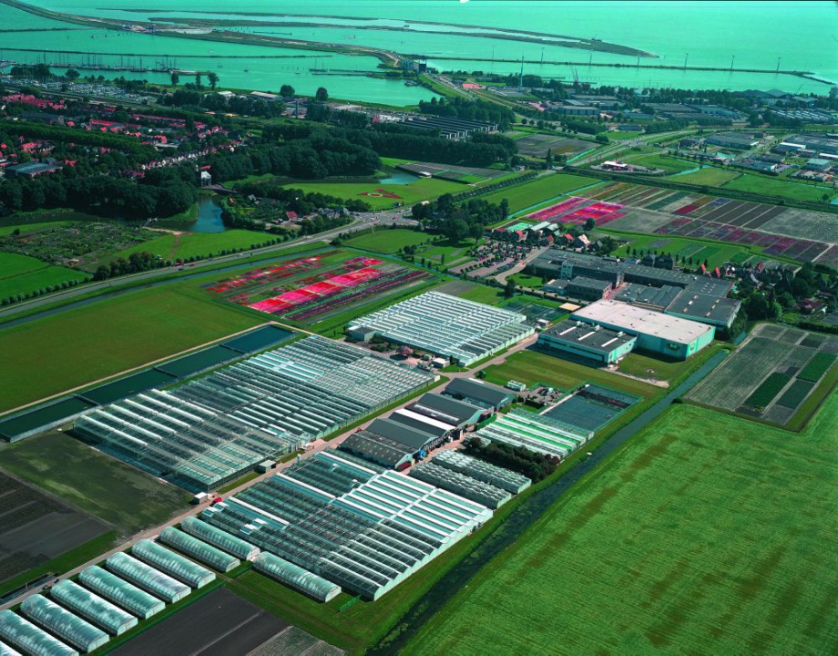 Luchtfoto van een vestiging van een groot veredelingsbedrijf. Bron: Syngenta Seeds BV.