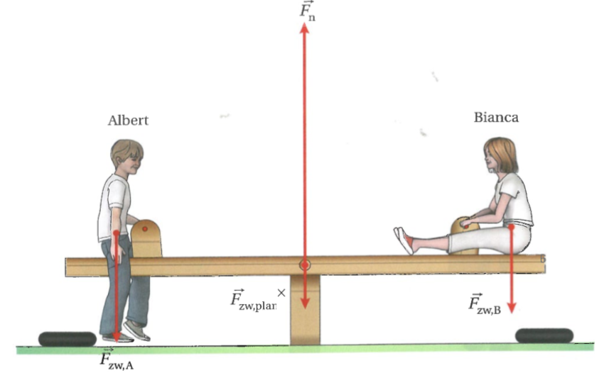 Figuur 10: De wip met alle krachten in evenwicht.