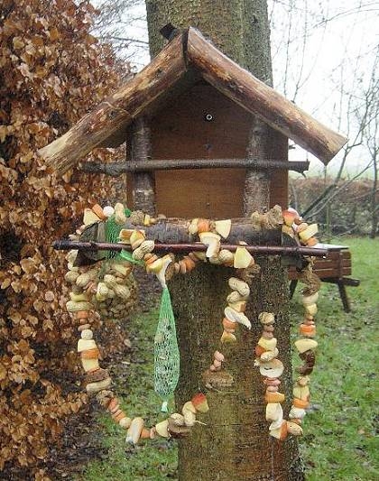 Neem de naald en doe het draad eraan. Zorg dat je veel lekkere dingen voor vogels hebt. Bijvoorbeeld: stukjes appel, stukjes wit brood, stukjes bruin brood, pinda's in de dop (ongebrand, voor de vogels), gepelde pinda's, stukjes wortel. Rijg de hapjes aan het draad. Je kunt de verschillende hapjes heel leuk afwisselen, zodat er een vrolijke ketting uitkomt. Pas op dat je wel genoeg draad aan de beide uiteinden overhoudt om de ketting op te hangen. Je kunt de ketting als hij klaar is bijvoorbeeld tussen twee bomen ophangen, of aan een vogelvoederhuisje zoals op de foto.