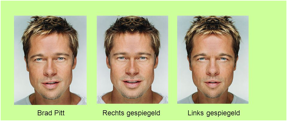 De twee helfden van het gezicht van Brad Pitt.