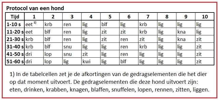 Ingevulde protocol hond