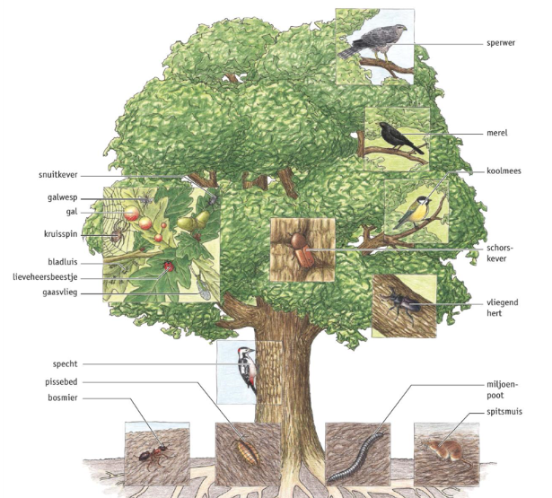 Biologie voor Jou handboek