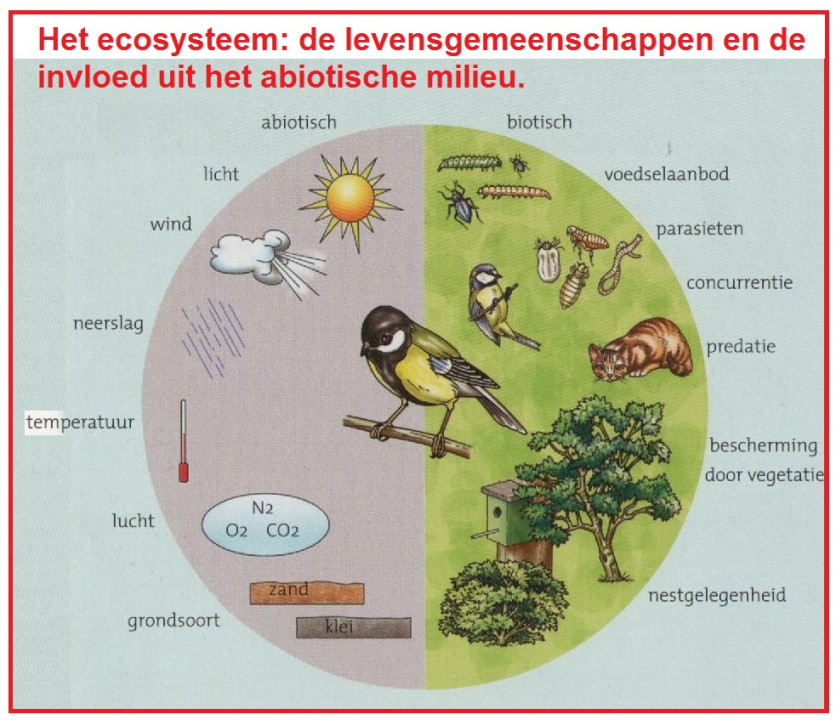 Ecosysteem