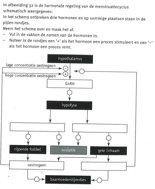 Opdracht hormonale cyclus van de vrouw