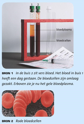 Afbeelding 1: bloed en bloedcellen.