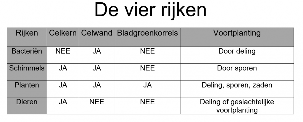 De organen van de vier rijken