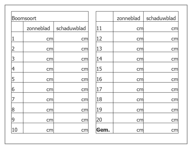 voorbeeld tabel in Excel