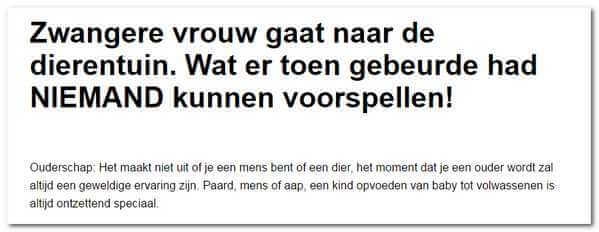 Voorbeeld van een titel