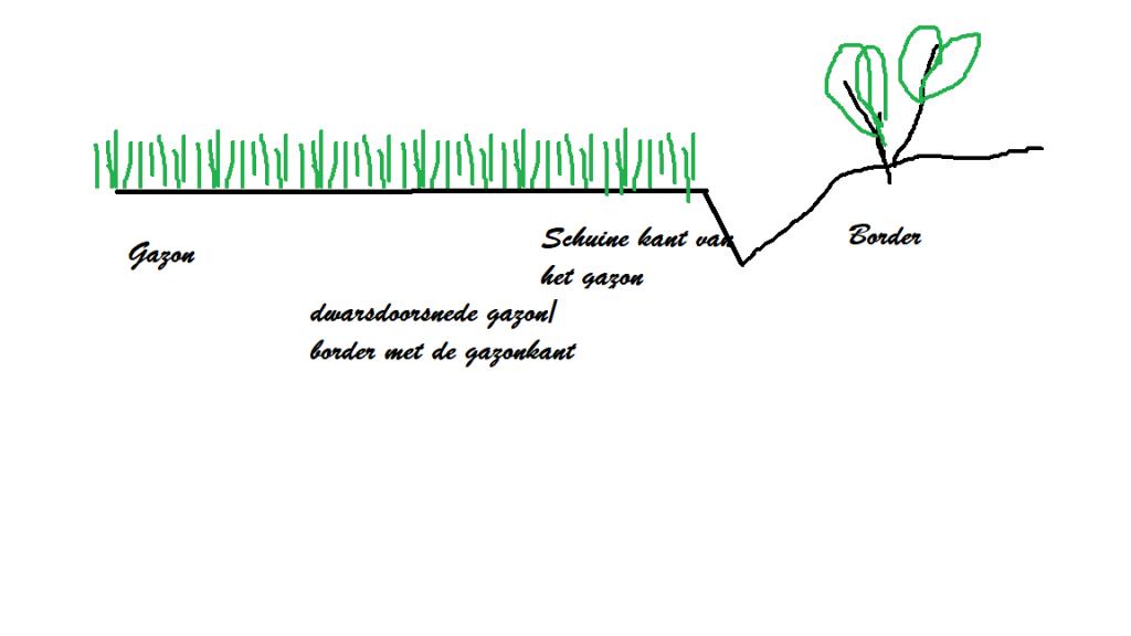 De dwars doorsnede gazon border