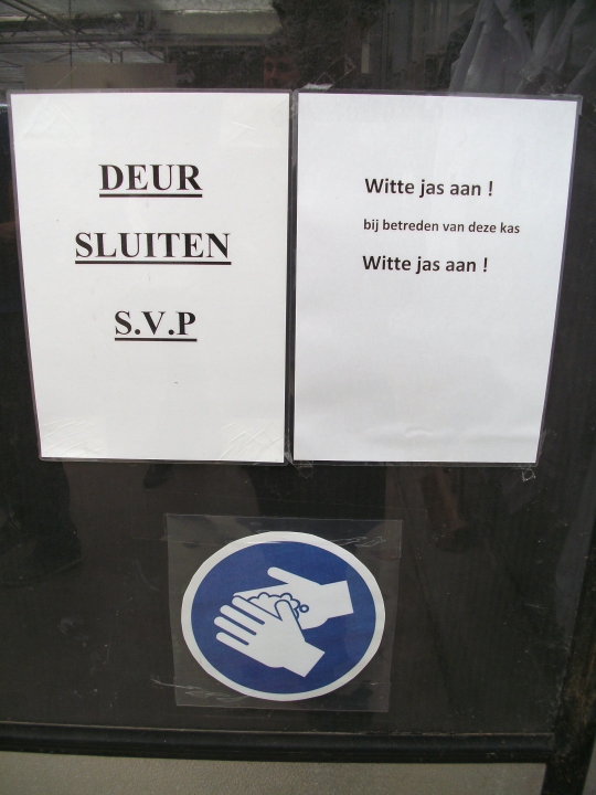 Ook medewerkers kunnen virussen verspreiden. Maatregelen als deze maken de kans hierop minimaal. Bron: Kieft Seeds.