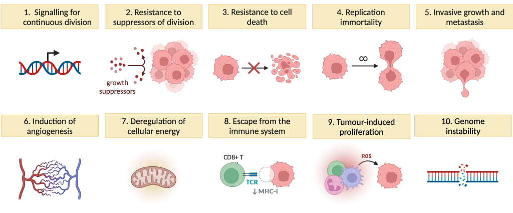 Figure 9.6 Characteristic features of tumour transformation.