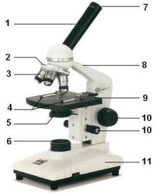 microscoop