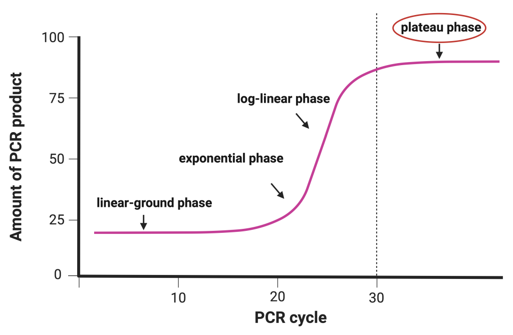 Figure 4.3 Exponential curve illustrating the course of the PCR.