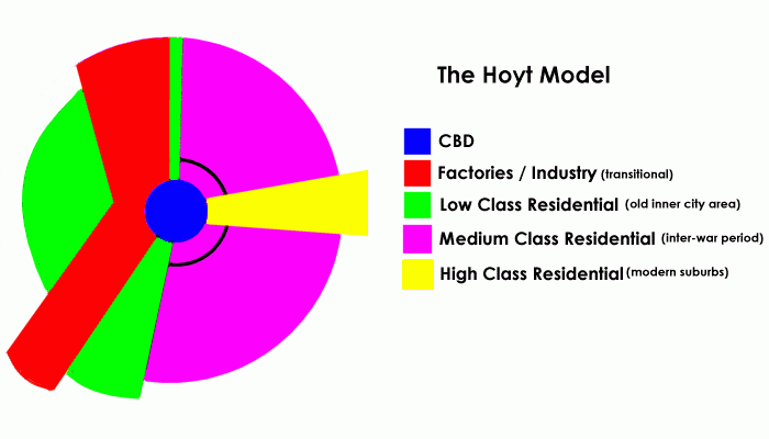 CBD: Hoyt model