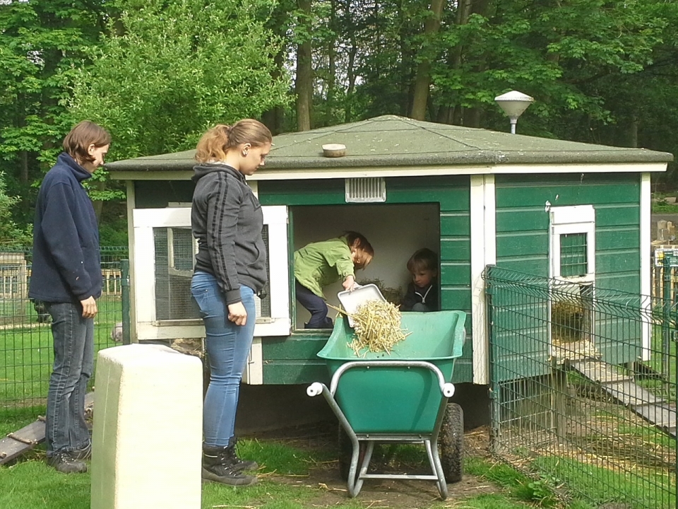 Konijnenhok goed schoonmaken