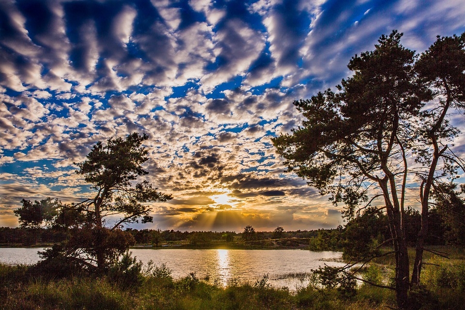 In welk land zou deze foto genomen zijn? Waarom denk je dat? Antwoord: puɐןɹǝpǝu