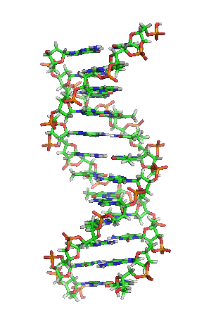 http://upload.wikimedia.org/wikipedia/ commons/1/16/DNA_orbit_animated.gif