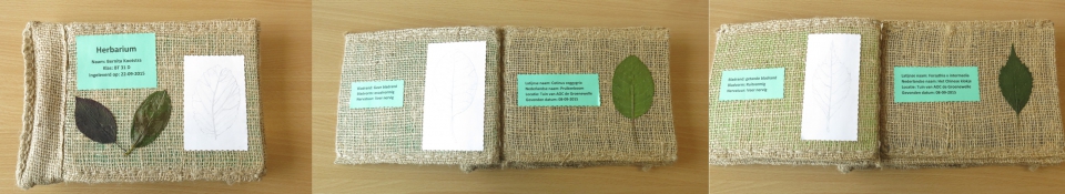 voorbeeld herbarium