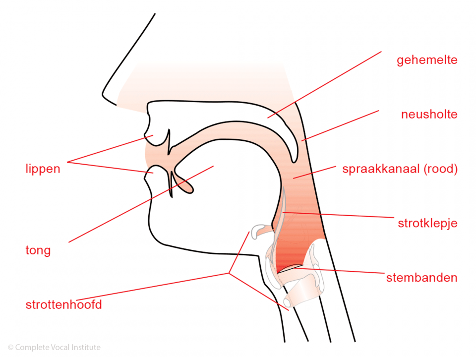Afbeelding 5, Bron: Het Zanglab
