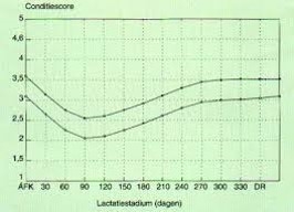 Verloop van de conditiescore tijdens de lactatie