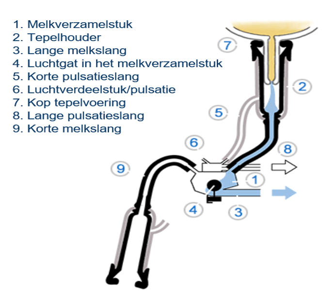 Melkklauw