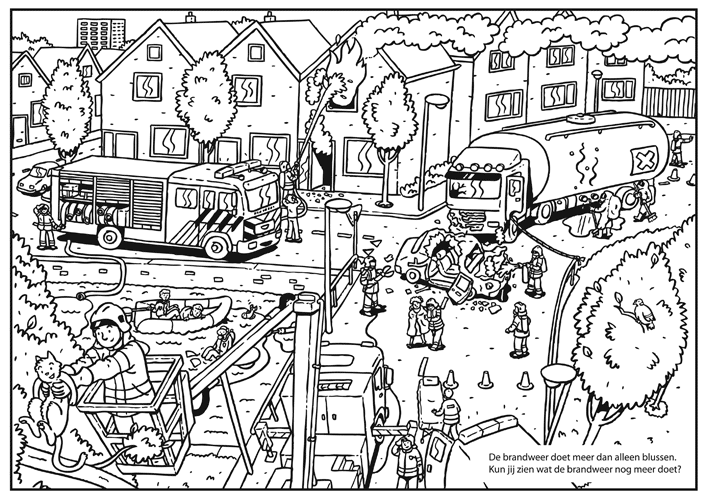 Bekijk de afbeelding en beantwoord onderstaande vraag.