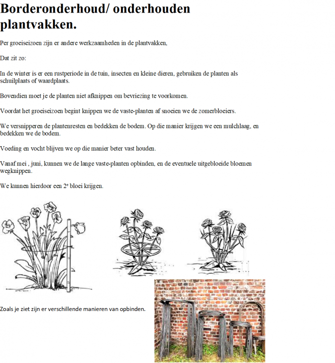 Opbinden vaste planten