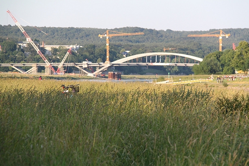 De brug door de Elbevallei bij Dresden (Flickr/Hammonia)