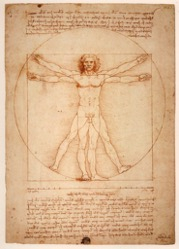 Figure 20.11 Vitruvian man.