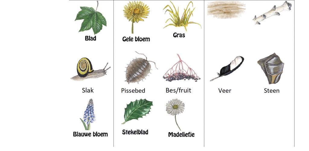 knip deze plaatjes uit en doe doe die in de eierdoos, verzamel zo de plantjes en dieren