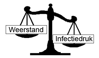 Weerstand vs infectiedruk: als de weerstand van de koe heel hoog is en de infectiedruk in haar omgeving laag, dan is de kans klein dat ze ziek wordt. Dat is de uitdaging waar de veehouder voor staat.