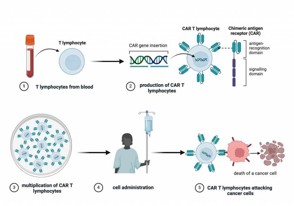 Figure 10.5 CAR-T therapy.