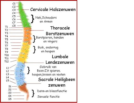 Bron afbeelindg: www.blogspot.com