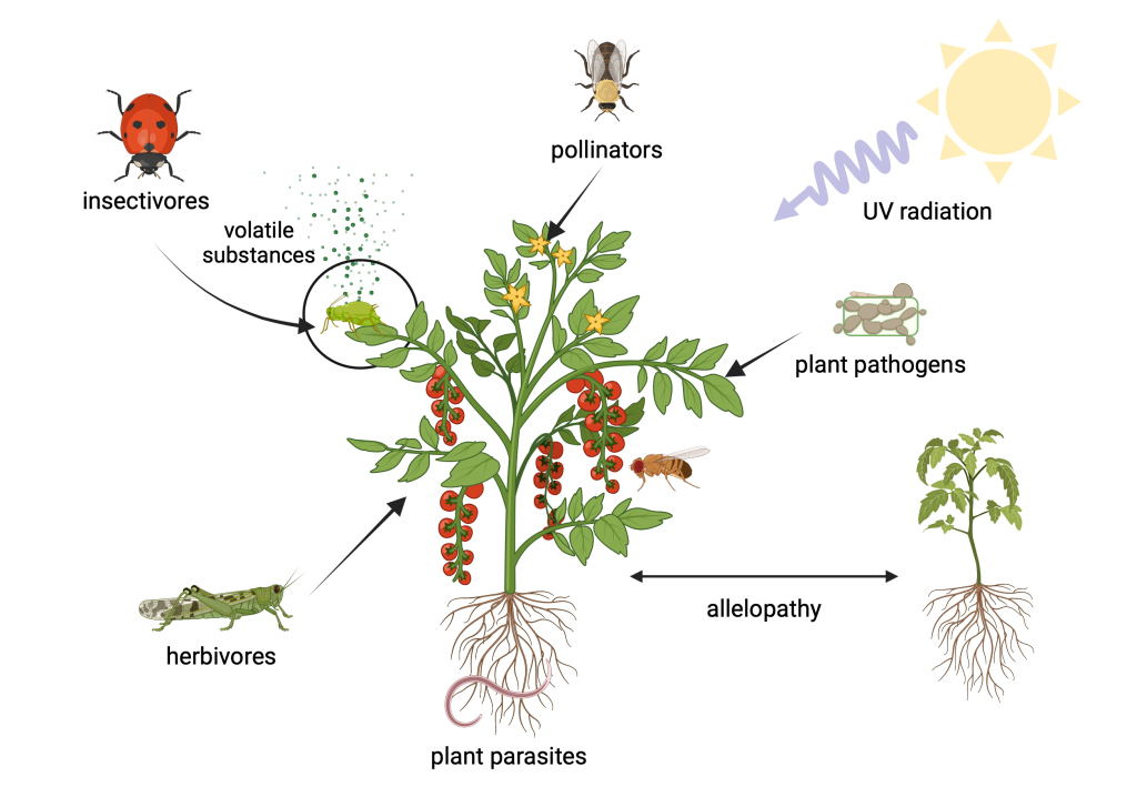 Figure 11.2 Interactions of plants with different organisms as a part of the defence mechanism against damage. Plants respond to damage by producing volatile chemicals which attract the enemies of the parasite, or repels the parasite themselves. Secondary metabolites might also alter the layers of cutin on the leaves to protect from UV radiation, or produce antibiotic chemicals to prevent attack by plant pathogens.