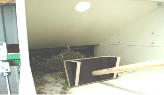 Invoeren van planten in de dorsmachine. Bron: Seed Processing Holland