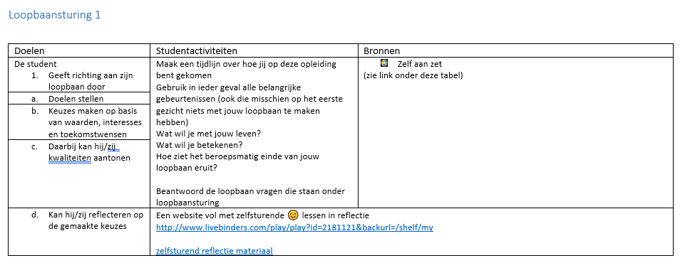 Overzicht loopbaansturing 1