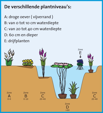 plantinfo_NL_1.jpg